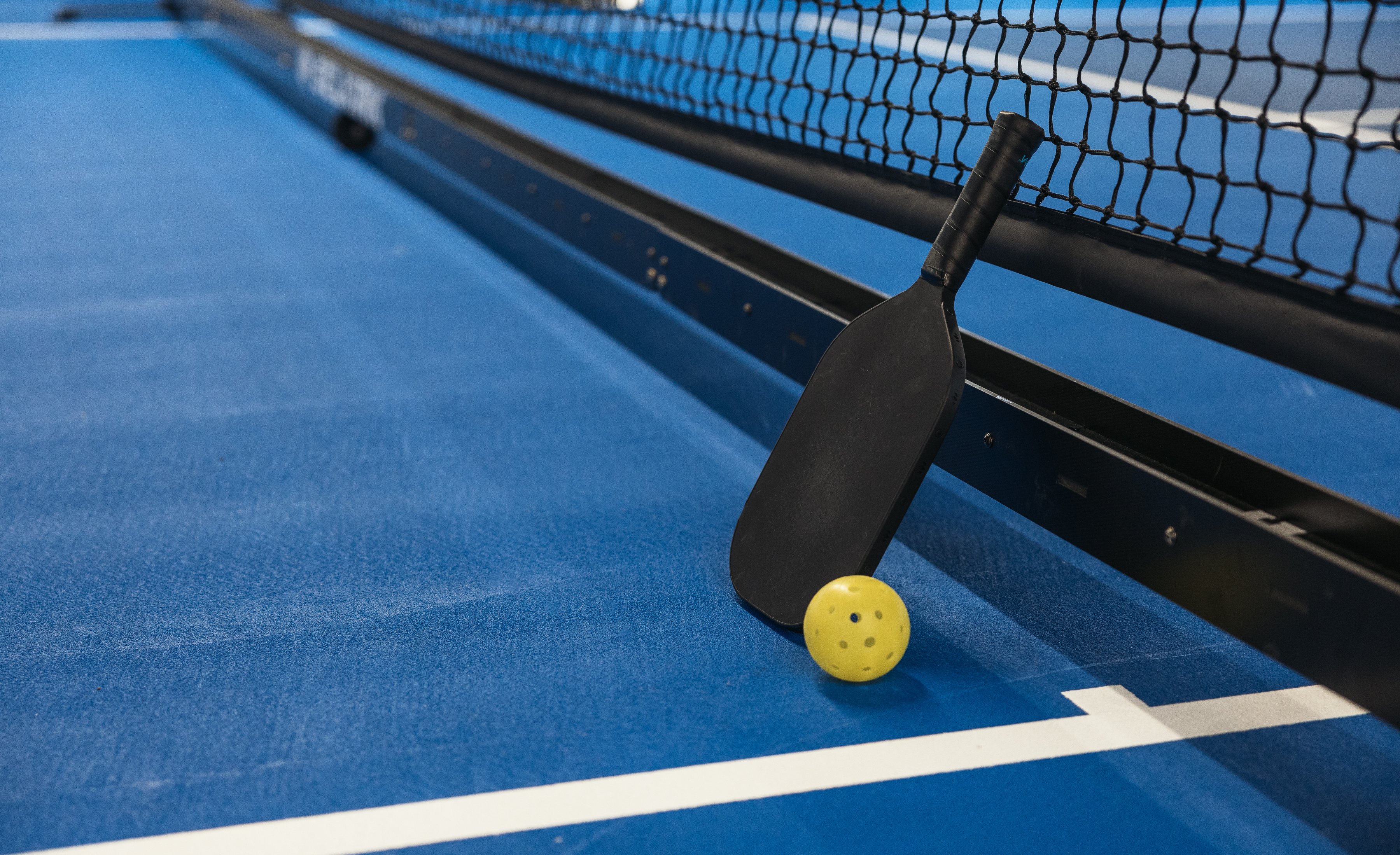 Pickleball Paddle, Ball, Court & Net